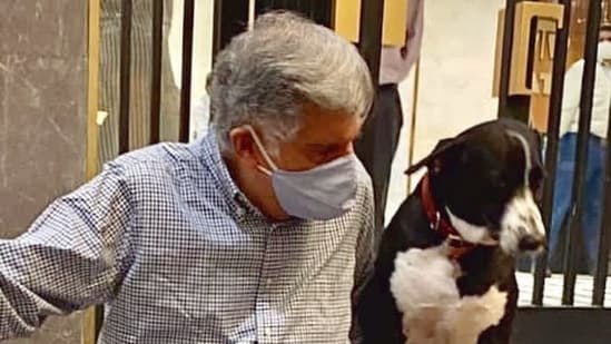 Ratan Tata’s Favourite Dog Goa Attends Annual ‘Blessing of the Animals’ in Mumbai