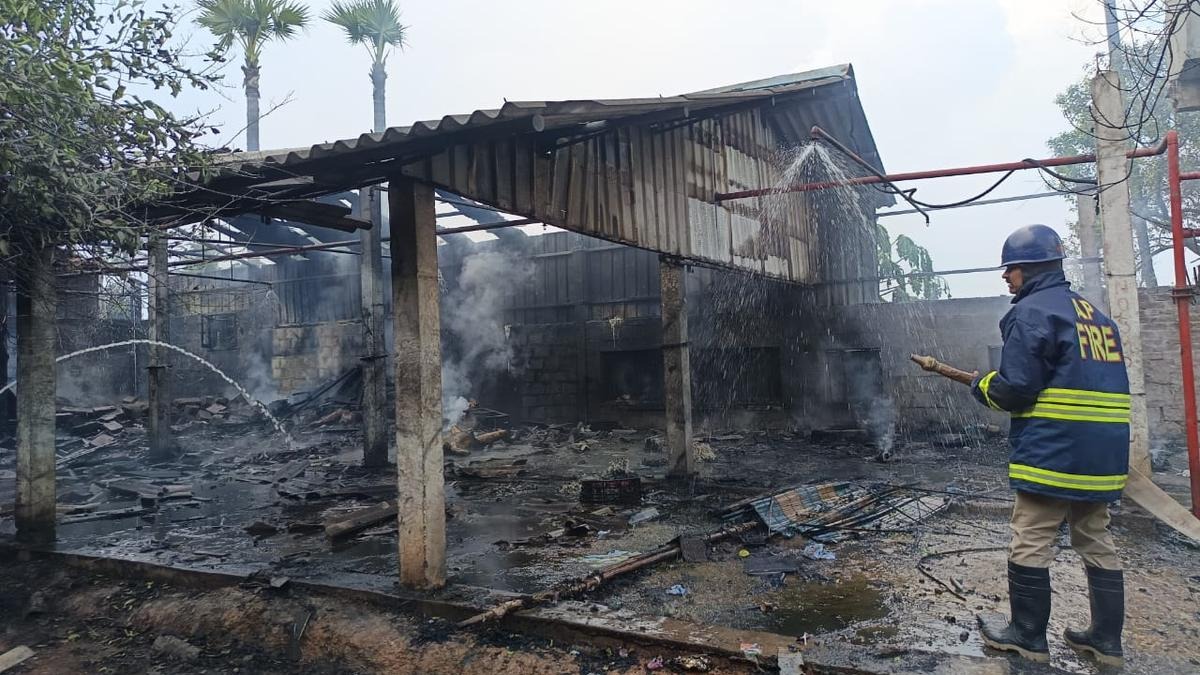 6 Dead, 2 Injured in Fire at Crackers Manufacturing Unit in Andhra Pradesh