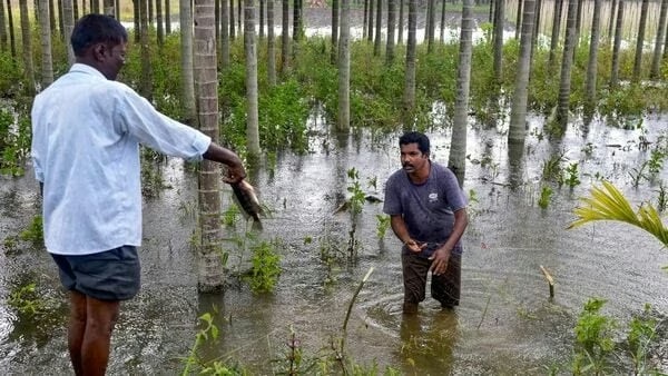 Chennai and Tamil Nadu Brace for More Heavy Rain as Schools Shut, Cyclone Alert Issued