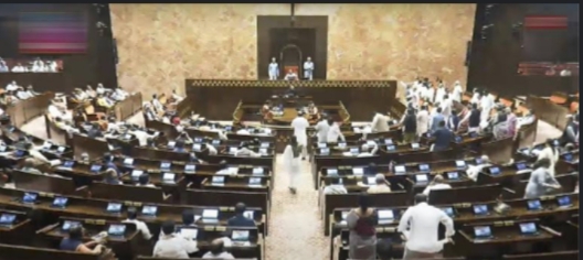 Opposition Walks Out of Rajya Sabha Over Demand for SIR Debate