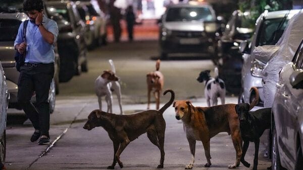 Delhi Stray Dog Ruling Faces Sharp Criticism from Maneka Gandhi as Costs Mount