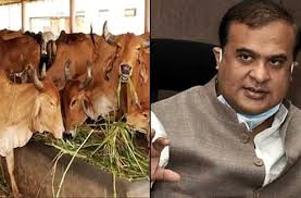 Shahnawaz Hussain Sparks Debate With Remarks on Cow Protection and Beef Politics