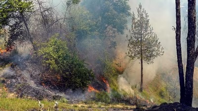 IAF Helicopters Deployed as Fierce Forest Fires Engulf Kasauli and Shimla