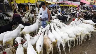 Violence Erupts in Mumbai’s Mira Road Ahead of Bakrid, Three Injured