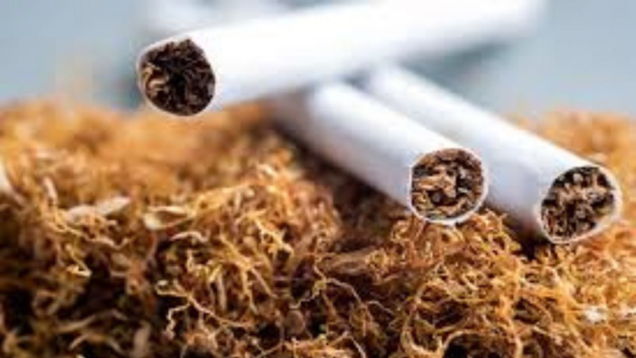 Nagaland Imposes One-Year Ban on Tobacco Products
