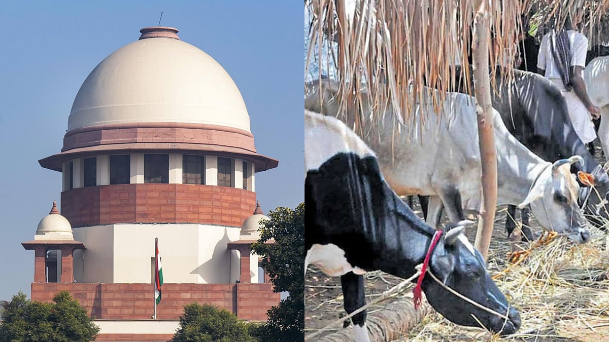Supreme Court stays Madras High Court’s order banning cow slaughter in Tamil Nadu