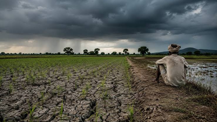 Rain Deficit Deepens Across Maharashtra as Dry Spell Raises Farm Concerns
