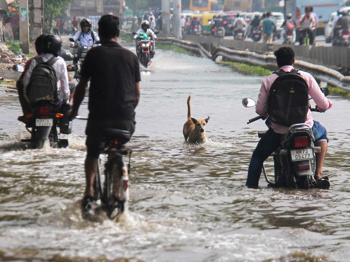 No Quick Relief in Sight, Monsoon Mayhem to Continue into September: IMD
