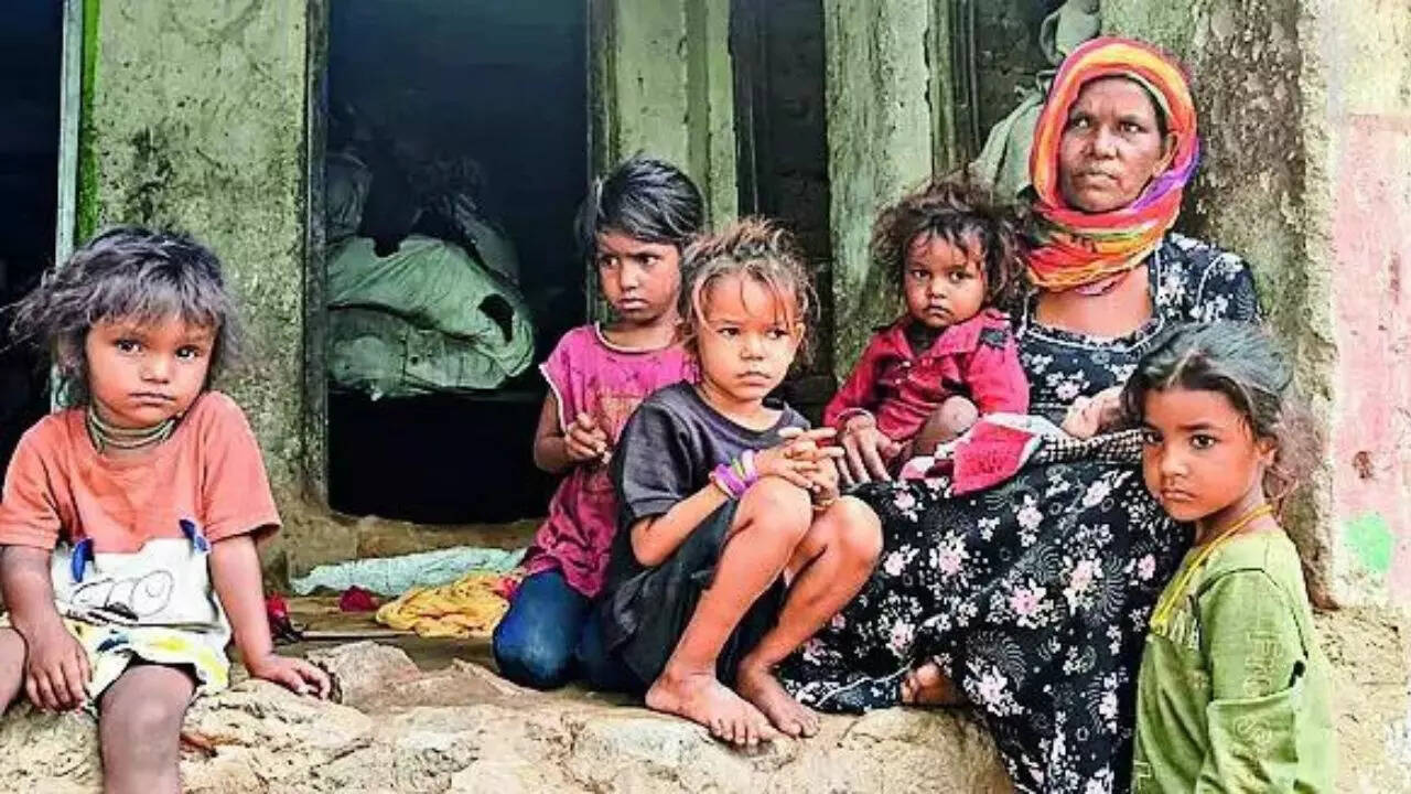 Udaipur health officials probe case amid concerns over high fertility in tribal regions