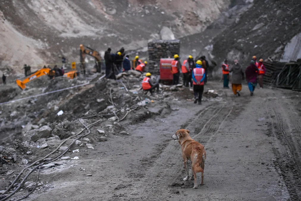 Rescue Dogs Join Search for Missing in Uttarakhand Floods