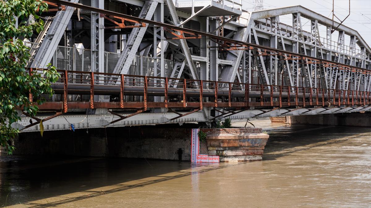 Yamuna River Breaches Danger Mark Leading to Potential Flood-like Situation