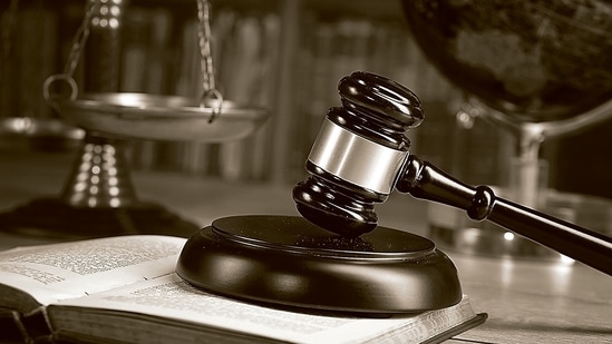 Woman gets life sentence for murdering nephew near Bengaluru